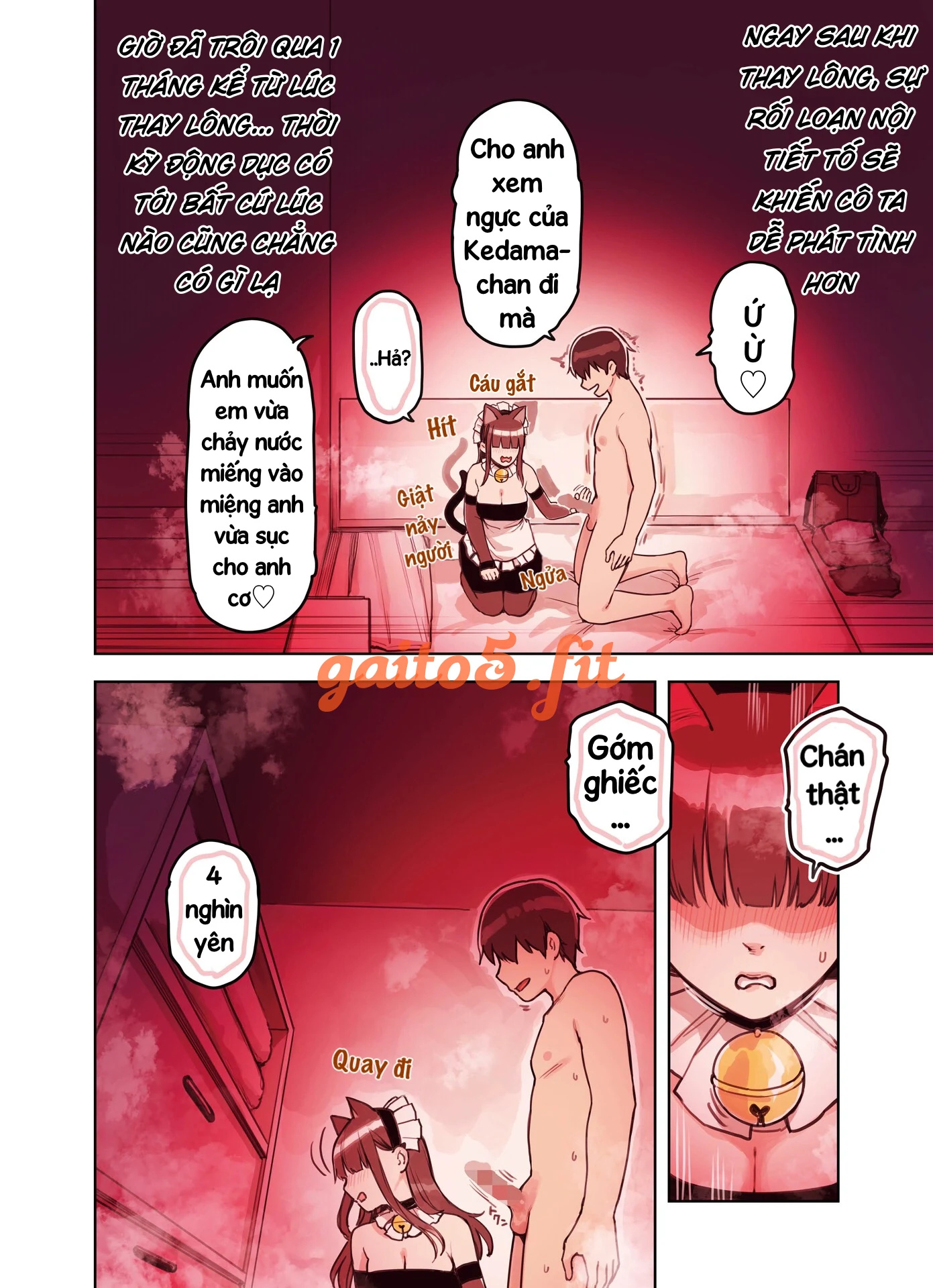 Giai đoạn đầu của mùa động dục - trang 5